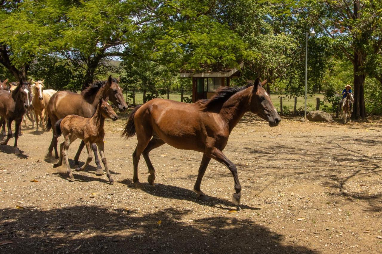 Rancho Humo Estancia Puerto Humo  Exterior foto